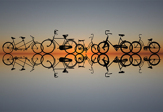 Bikes!  Photo